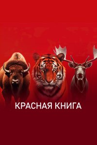 Красная книга 1 сезон